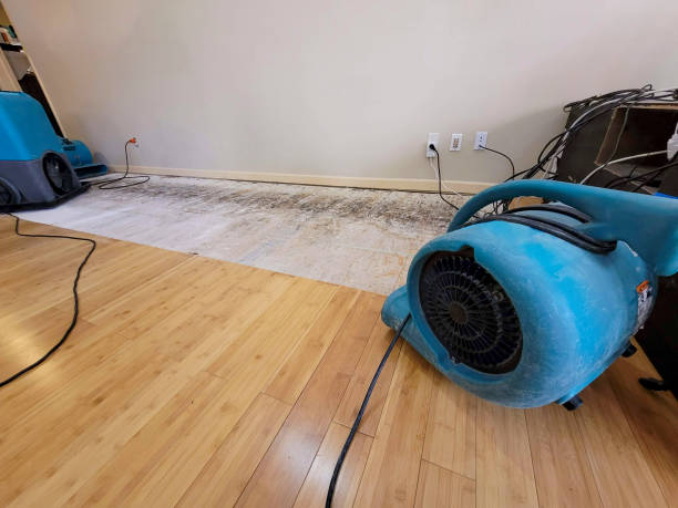 Professional Water Extraction technician working in New Windsor, MD